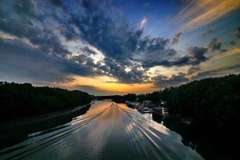 Photo by lim yau tong