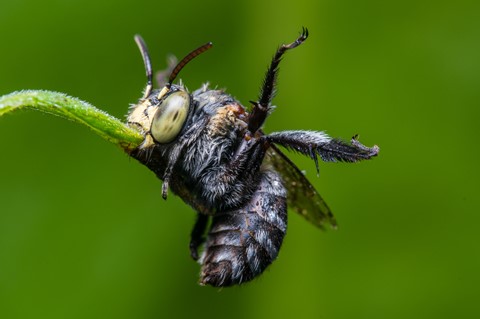 Photo by Pixel Pooper