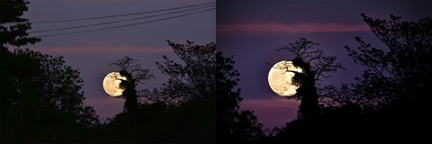 Photo by nomadistmoon