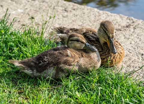 Photo by OrdinarilyInordinate