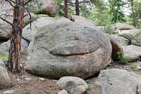 Photo by Denver Dave