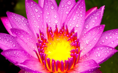 Photo by Glowing Lotus