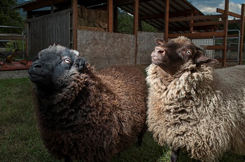 Photo by Beam us up!