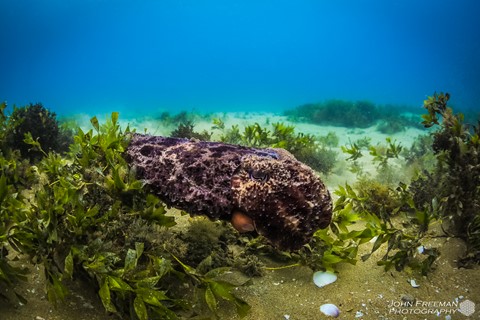 Photo by JFphotography