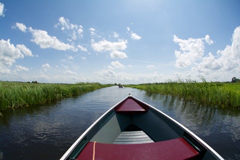 Photo by MichelBosma