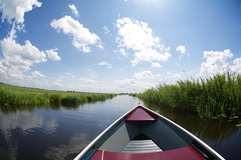 Photo by MichelBosma