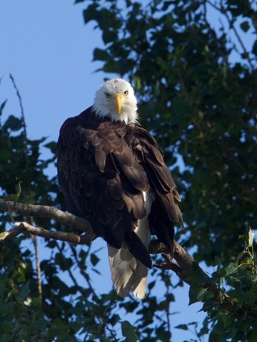 Photo by branthunter