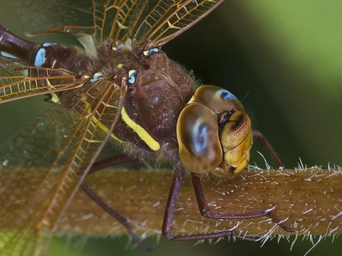 Photo by "Some R & R...