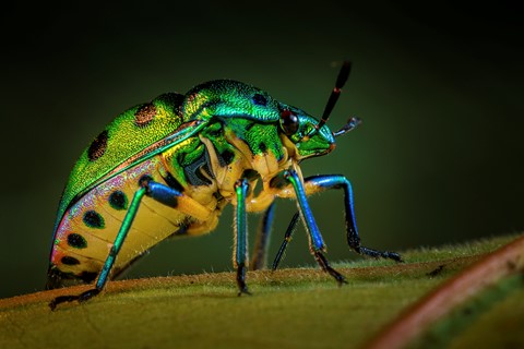 Photo by Sandeep Patil