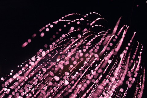 Photo by purelightglow