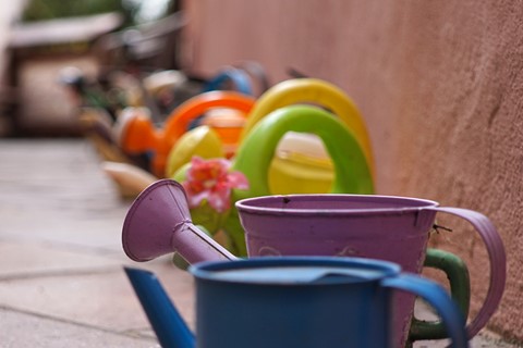 Photo by Watering pots