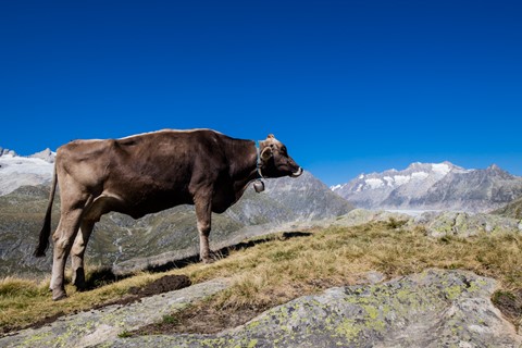 Photo by Twopintsaweek