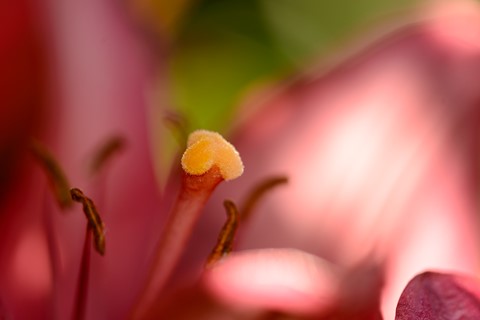 Photo by lickity split