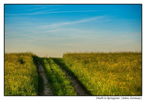 Photo by PlanetSteph