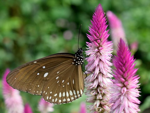 Photo by Maxime Kaiser