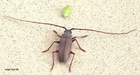 Photo by jayant atrey