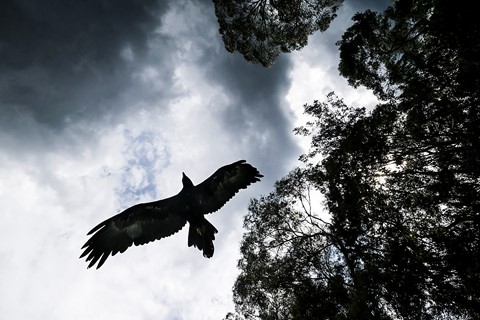 Photo by freddoyellow