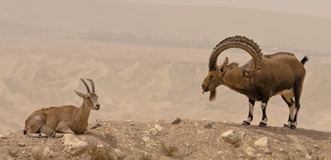 Photo by Just Want You To Love Me