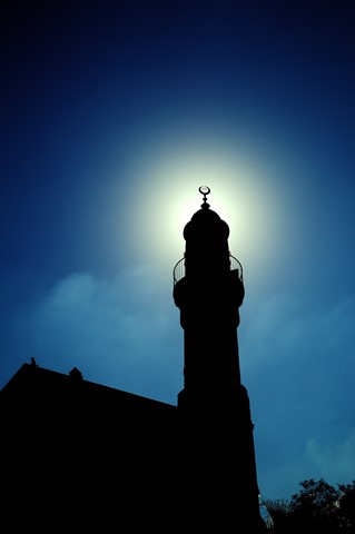 Photo by David Arbitman