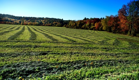 Photo by NikonJunkieGirl