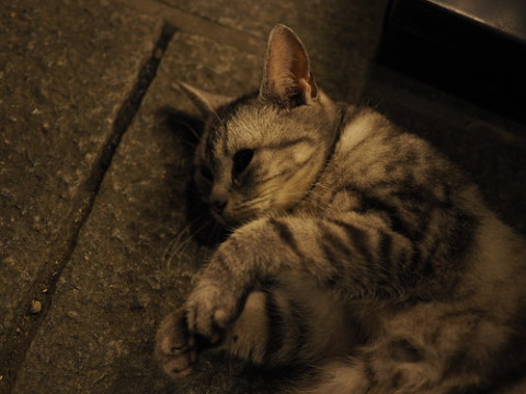 Photo by noryouforme