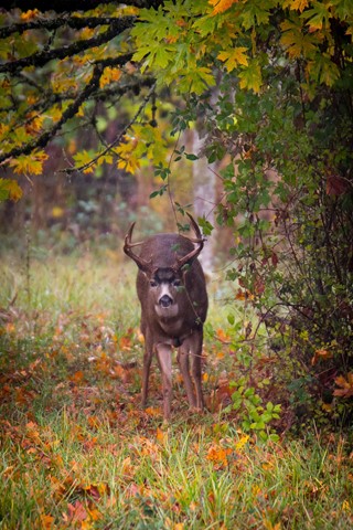 Photo by JHopkins Photo