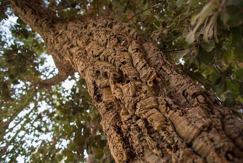 Photo by Rob Henderson