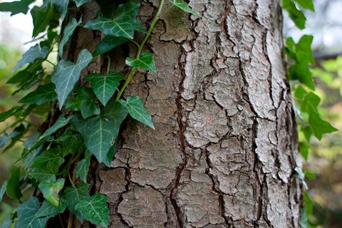 Photo by dillonwhite