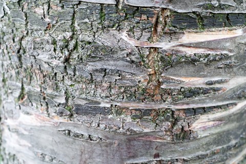 Photo by LightOnBrussels