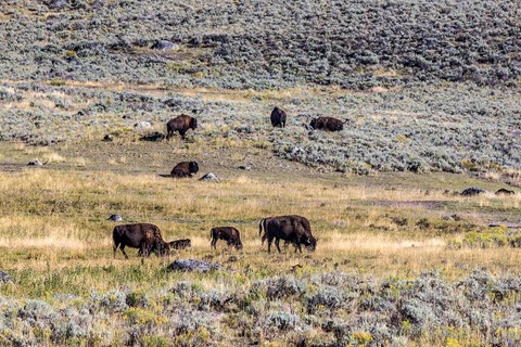 Photo by tim and jan