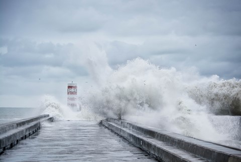 Photo by nomadistmoon