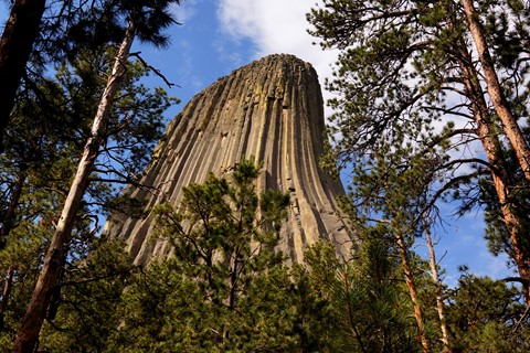 Photo by Devils Tower