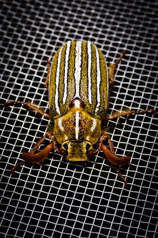 Photo by ScottTomlinson