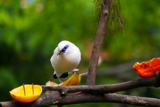 Photo by Edmond Pang