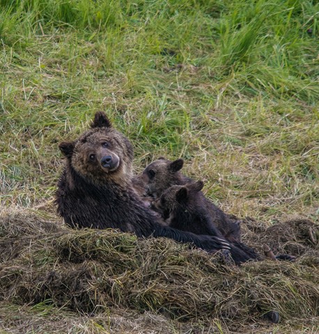 Photo by "Ain't They Cute?"