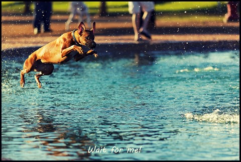 Photo by Wait for me!!!