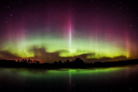 Photo by Pelakauskas