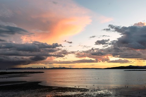 Photo by Donald Tarahonich