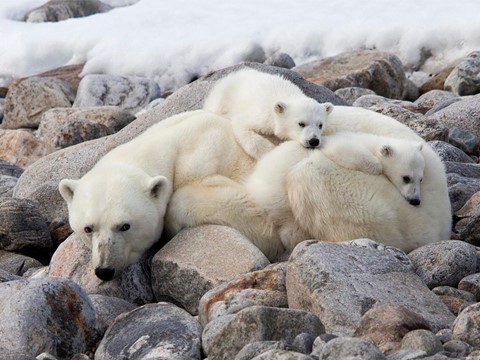 Photo by Claude Wegscheider