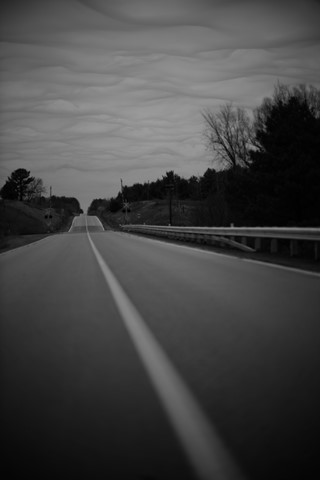 Photo by Fly Me to The Moon