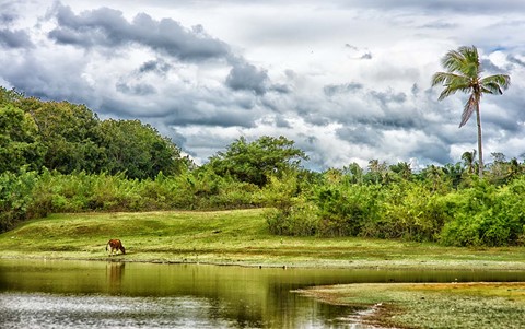 Photo by J Mountford