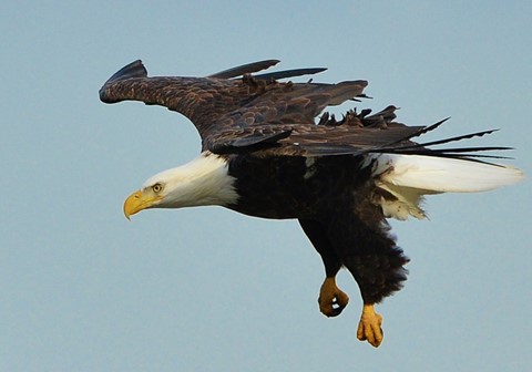 Photo by MikejpMurray