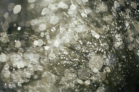 Photo by fotografdracula