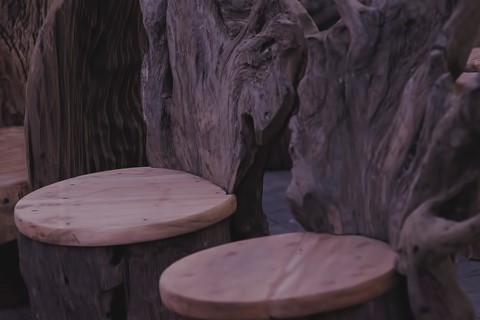 Photo by Bhimaprasad Maiti