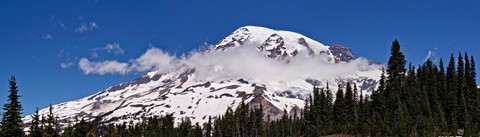 Photo by Mount Rainier