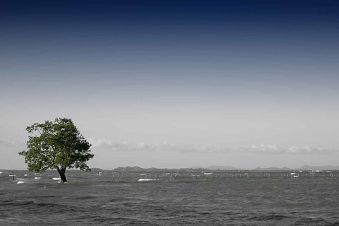 Photo by J Mountford