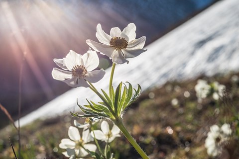 Photo by Sprintmedley