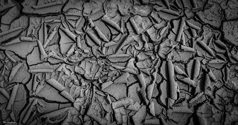 Photo by rayfriedman