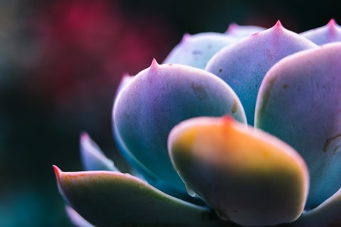 Photo by Anders Wotzke