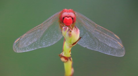 Photo by darrenteoh83